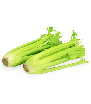 Celer řapíkatý 1 ks