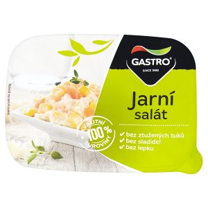 Gastro Jarní salát 140g