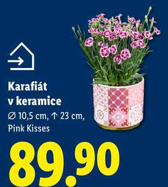 Karafiát v keramice, 10,5 cm