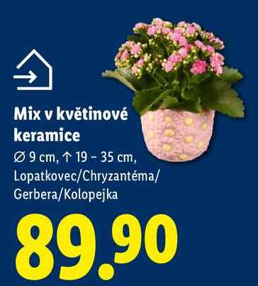 Mix v květinové keramice