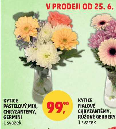 KYTICE PASTELOVÝ MIX, CHRYZANTÉMY, GERMINI, 1 svazek 
