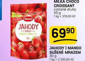 JAHODY | MANGO SUŠENÉ MRAZEM 30 g 