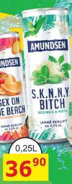 AMUNDSEN S.K.N.N.Y. BITCH 0,25L míchaný nápoj plech