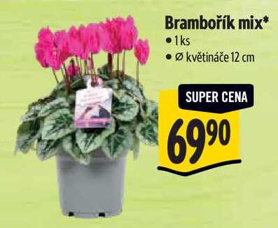 Brambořík mix