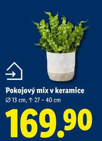 Pokojový mix v keramice