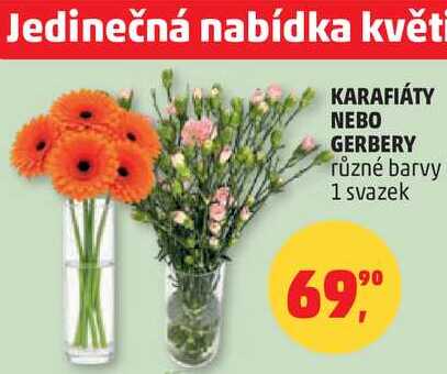 KARAFIÁTY NEBO GERBERY různé barvy 1 svazek
