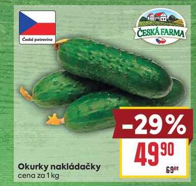Okurky nakládačky cena za 1 kg