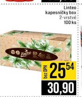 Linteo kapesníčky box 2-vrstvé 100 ks 