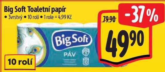 Big Soft Toaletní papír, 10 rolí Albert