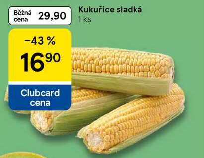 Kukuřice sladká, 1 ks  