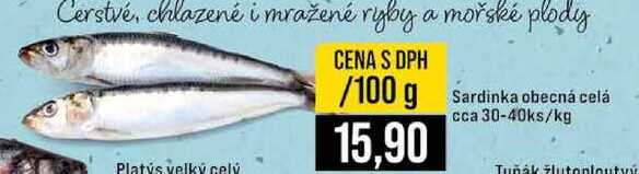 Sardinka obecná celá cca 30-40ks 100g