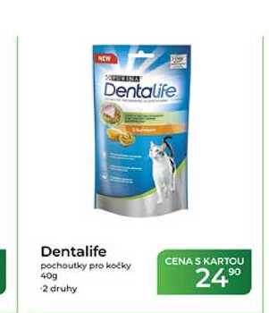 Dentalife pochoutky pro kočky 40g
