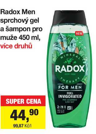 Radox Men sprchový gel a šampon pro muže 450 ml Šlak
