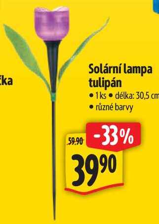 Solární lampa tulipán