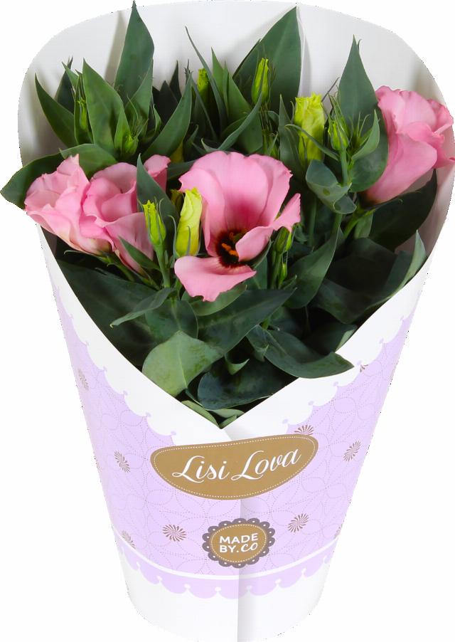 Eustoma v obalu