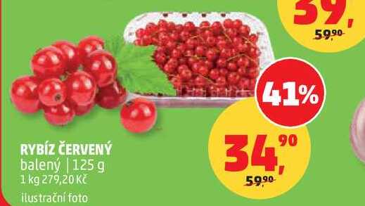 RYBÍZ ČERVENÝ balený, 125 g