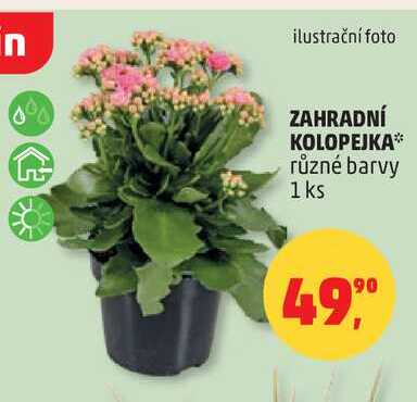 ZAHRADNÍ KOLOPEJKA různé barvy, 1 ks