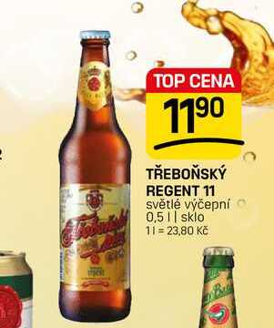 TŘEBOŇSKÝ REGENT 11 světlé výčepní 0,5l