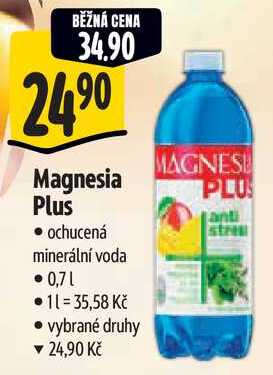 Magnesia Plus, 0,7 l