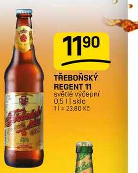 TŘEBOŇSKÝ REGENT 11 světlé výčepní 0,5l