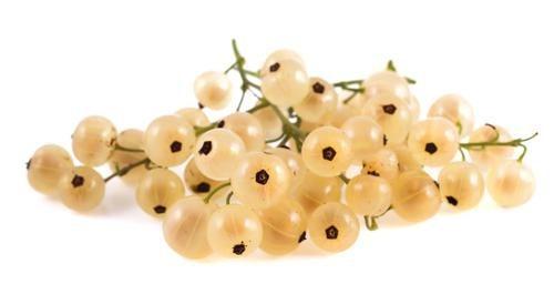 Rybíz bílý, 125 g