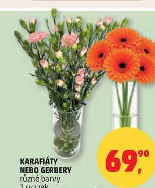 KARAFIÁTY NEBO GERBERY různé barvy, 1 svazek