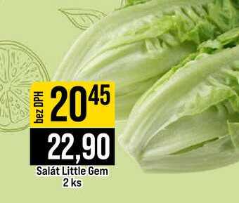 Salát Little Gem 2 ks 