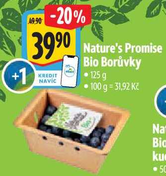 Nature's Promise Bio Borůvky, 125 g