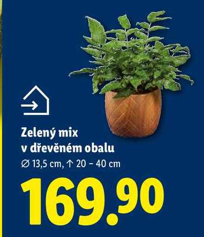 Zelený mix v dřevěném obalu
