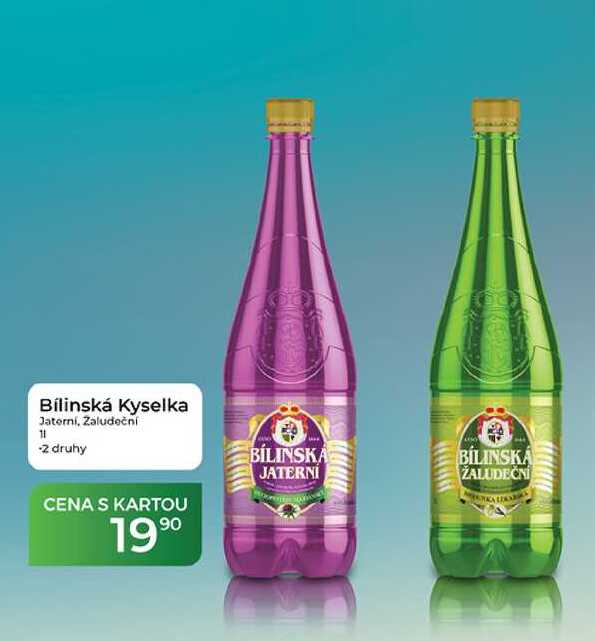 Bílinská Kyselka Jaterni, Zaludeční 11