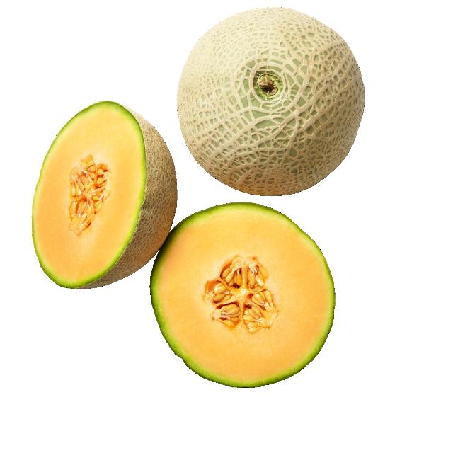 Meloun Cantaloup