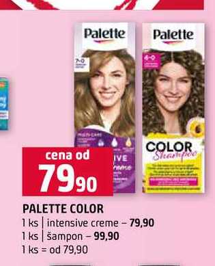 PALETTE COLOR 1 ks intensive creme 1 ks šampon Terno