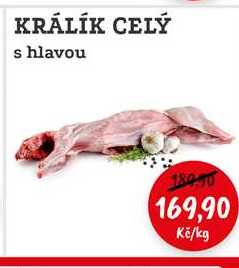 KRÁLÍK CELÝ s hlavou 1kg
