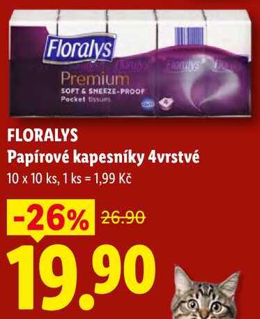 FLORALYS Papírové kapesníky 4vrstvé, 10 x 10 ks 