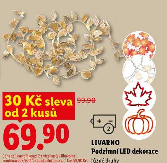 LIVARNO Podzimní LED dekorace