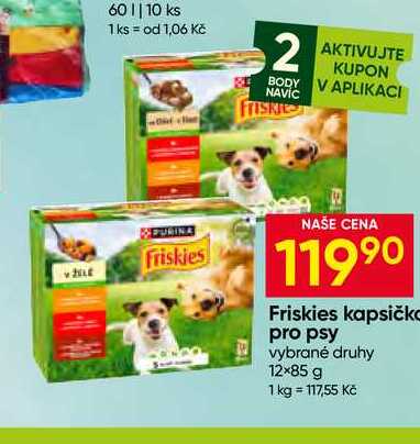 Friskies kapsičko pro psy vybrané druhy 12×85 g