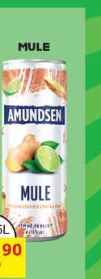 AMUNDSEN MULE 0,25L