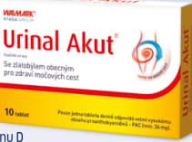 Urinal Akut