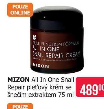 MIZON All In One Snail Repair pleťový krém se šnečím extraktem 75 ml Teta drogerie