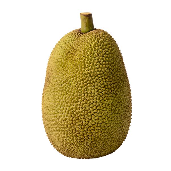 Jackfruit čerstvý