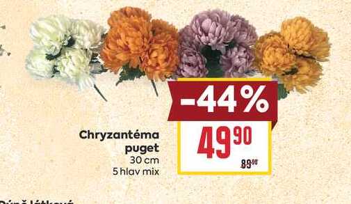 Chryzantéma puget 30 cm 5 hlav mix