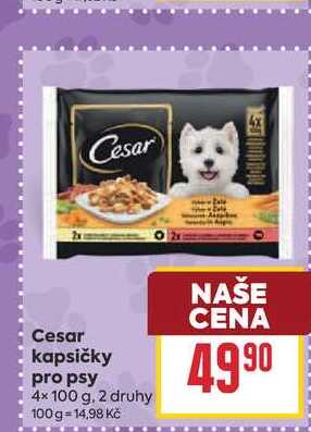 Cesar kapsičky pro psy 4x 100 g