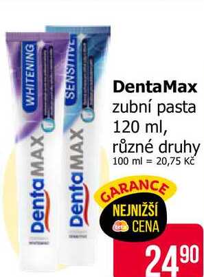 DentaMax zubní pasta 120 ml, různé druhy Teta drogerie
