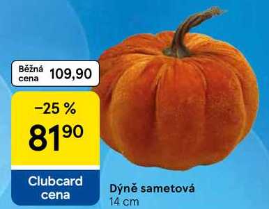 Dýně sametová 14 cm Tesco
