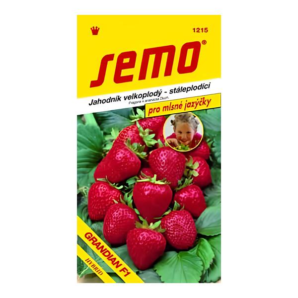 Semo Jahodník velkoplodý - stálepodící - GRANDIAN F1