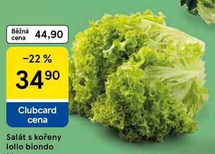 Salát s kořeny lollo biondo, 1 ks