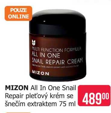 MIZON All In One Snail Repair pleťový krém se  šnečím extraktem 75 ml Teta drogerie