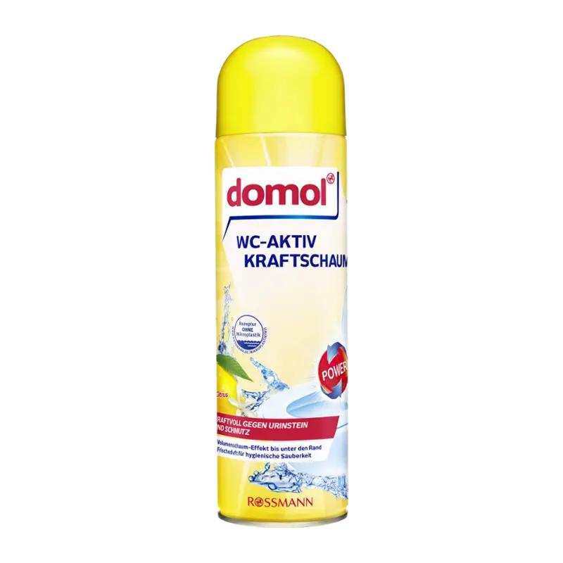 Domol Čisticí pěna do WC Citrus, 500 ml ROSSMANN