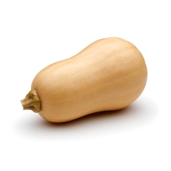 Dýně máslová