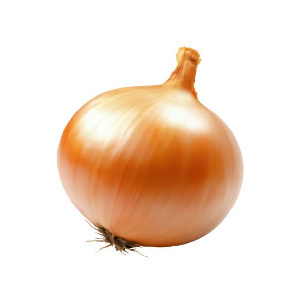 Cibule žlutá, 1 ks